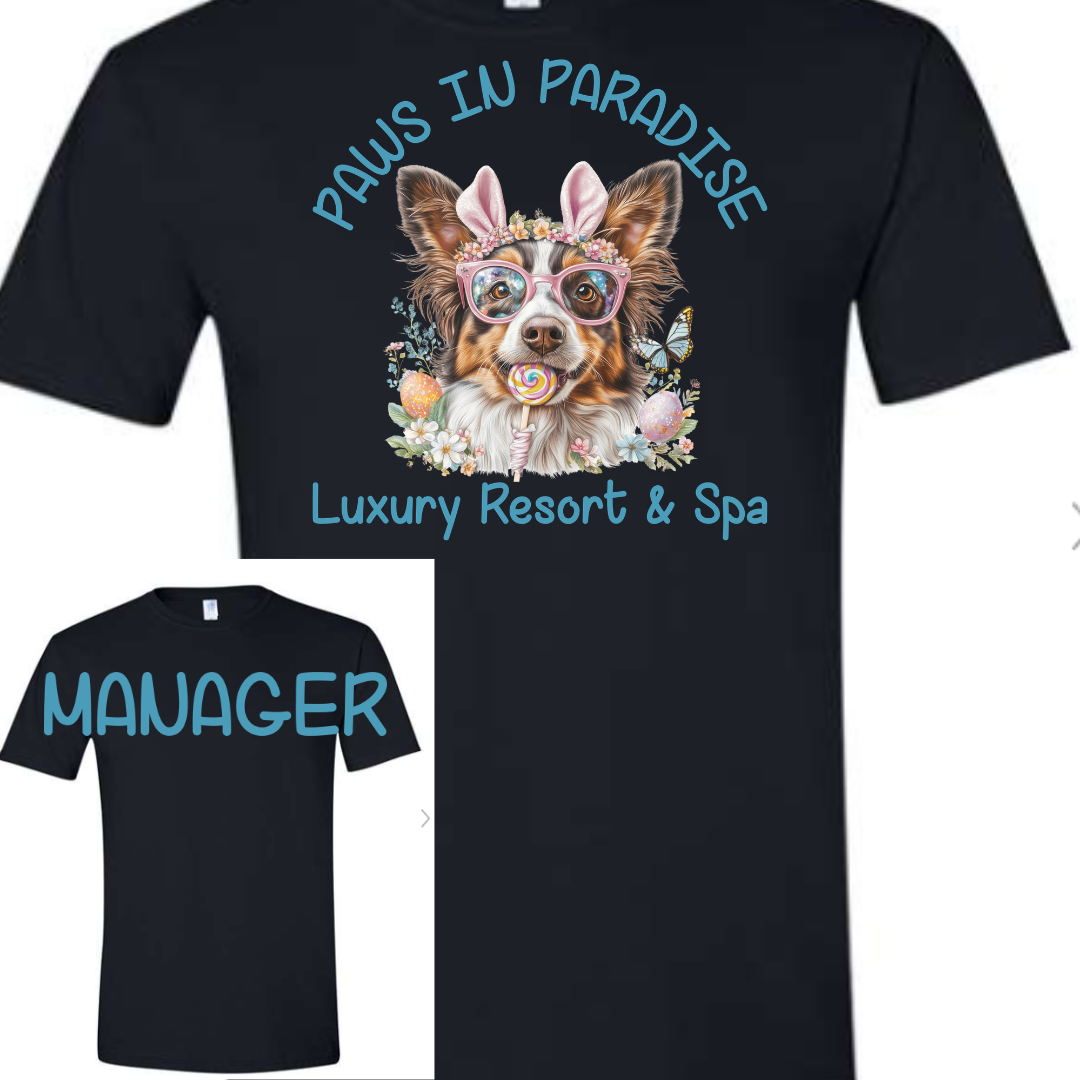 KAYLA- MANAGER COLLIE