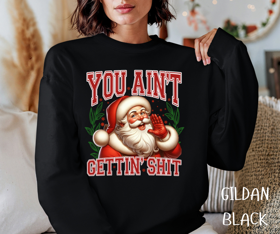 YOU AINT GETTIN SHIT SHIRT/CREW