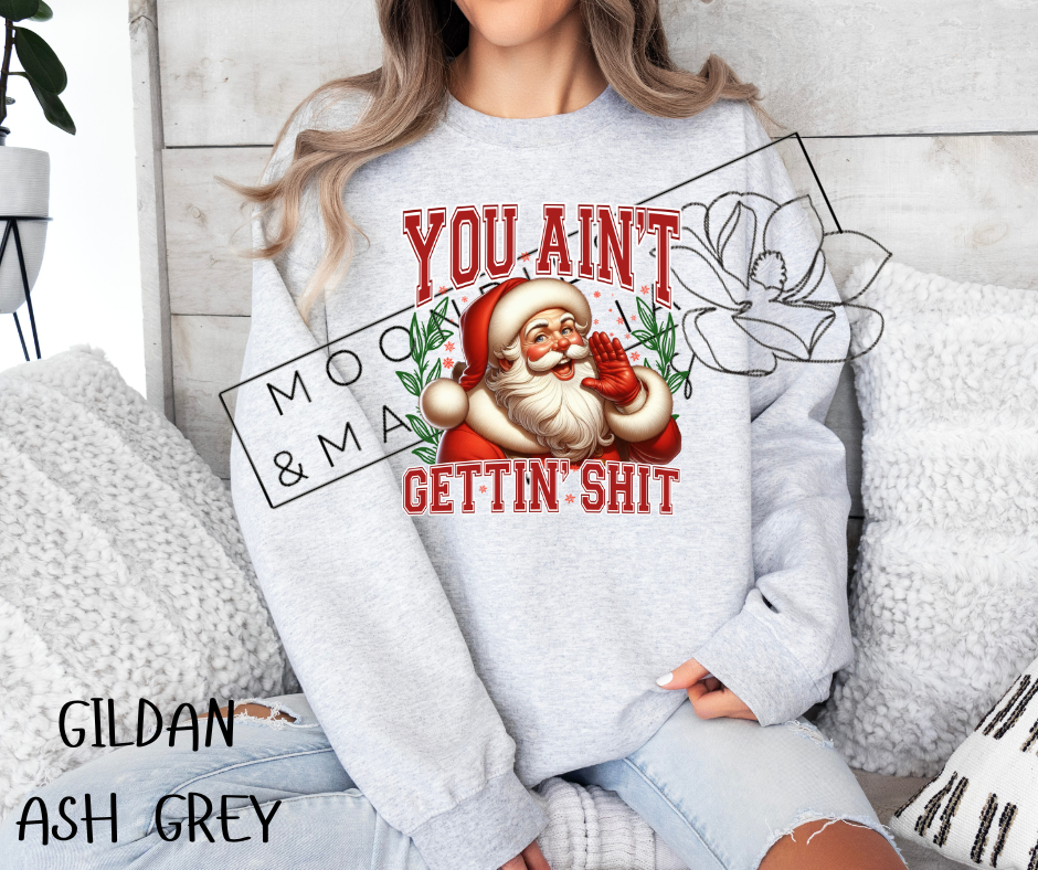 YOU AINT GETTIN SHIT SHIRT/CREW