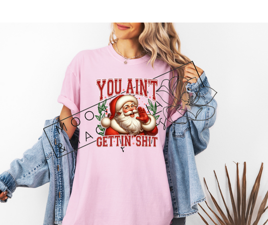 YOU AINT GETTIN SHIT SHIRT/CREW