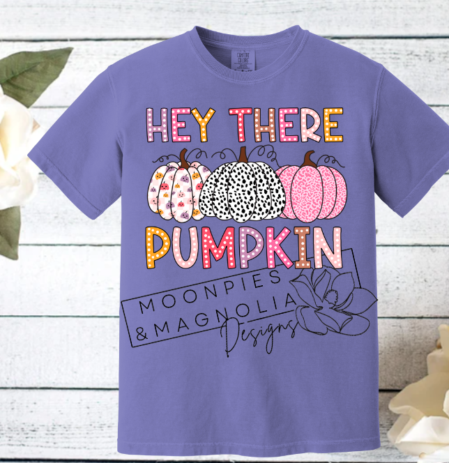 HEY THERE PUMPKIN COMFORT COLOR T-SHIRTS